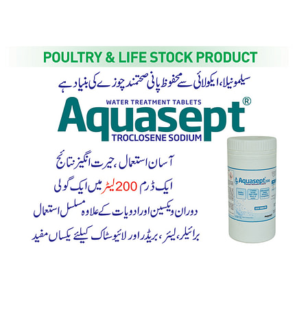 How, wher and when to use aquasept - poultry and livestock infection control programme through chlorine tablets