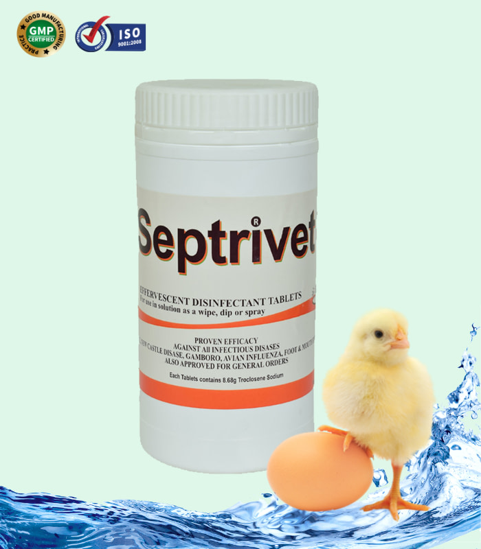Septrivet - protection of poultry farm utensils, and other sites through chlorine tablets